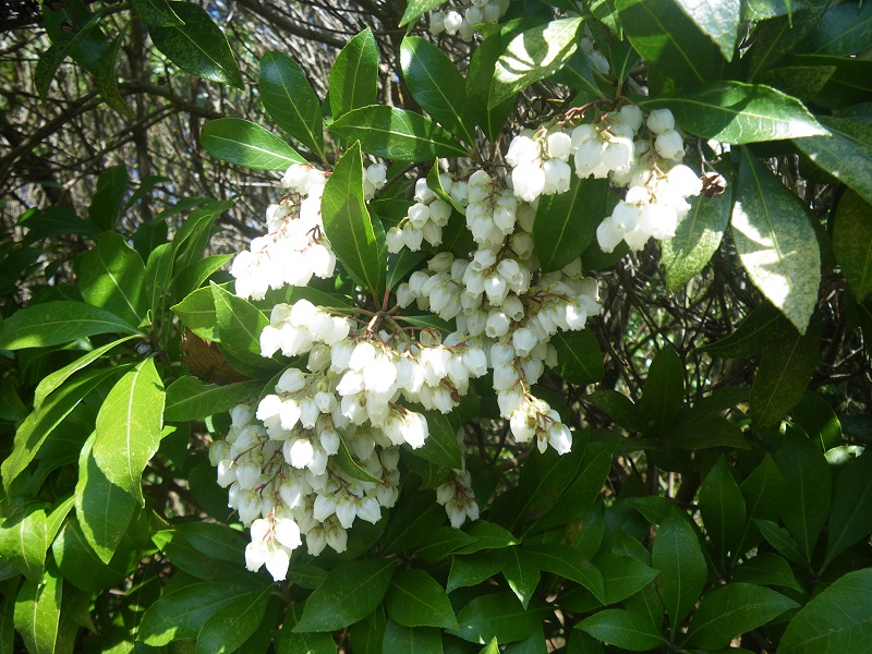 _c0033636_1815254.jpg