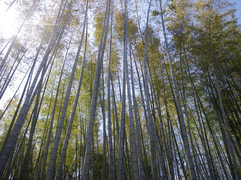 _c0033636_1818843.jpg