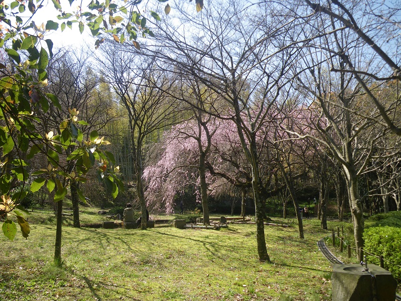 _c0033636_1882542.jpg