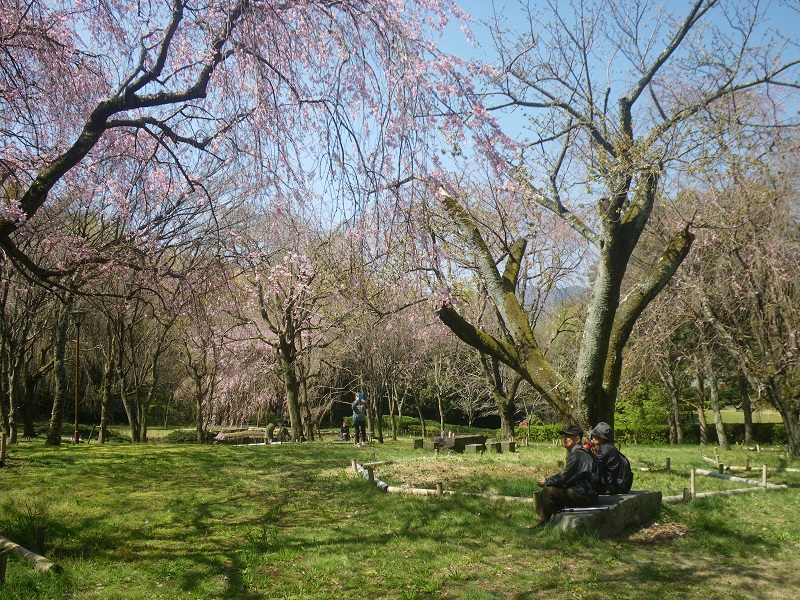 _c0033636_1883946.jpg