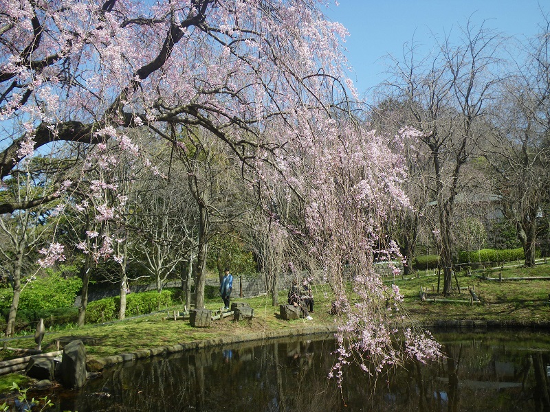 _c0033636_1885471.jpg