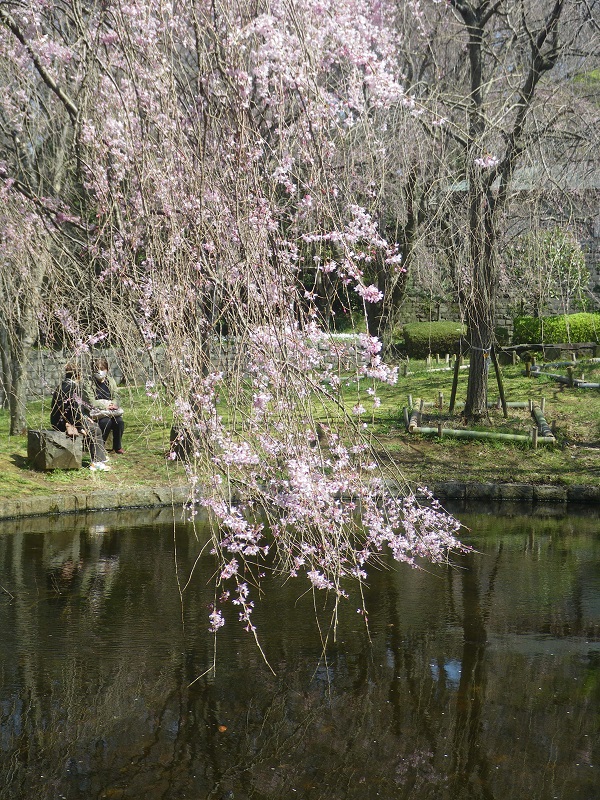 _c0033636_1891671.jpg