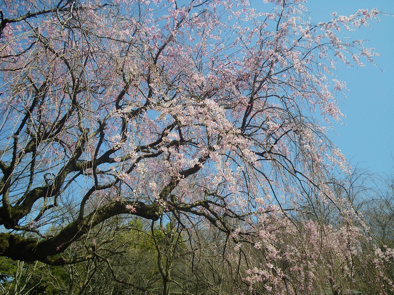 _c0033636_1893240.jpg
