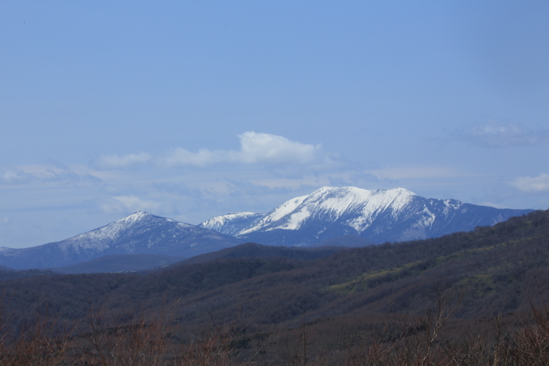 _f0075075_19343845.jpg