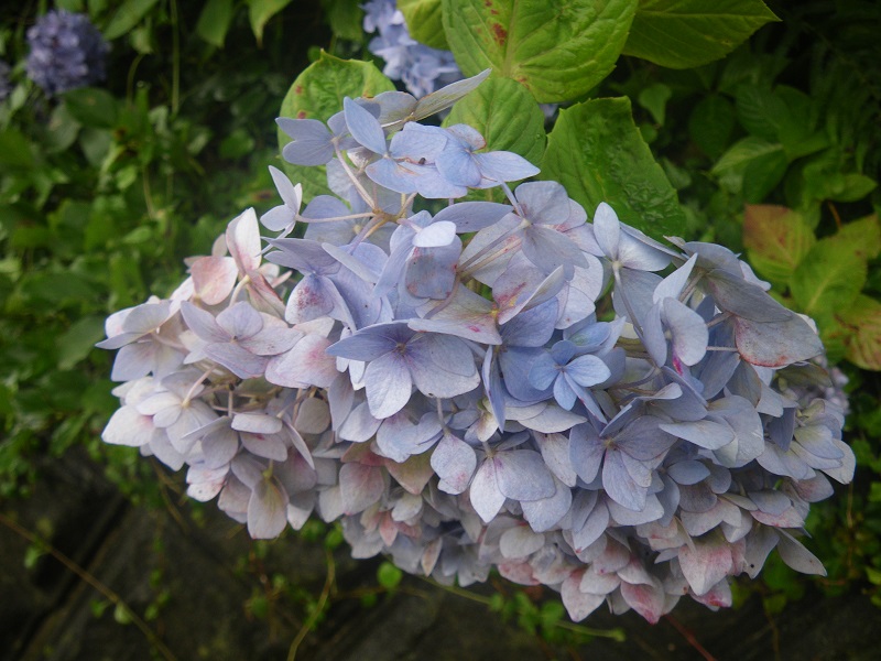 _c0033636_042279.jpg