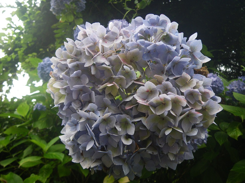 _c0033636_11544923.jpg
