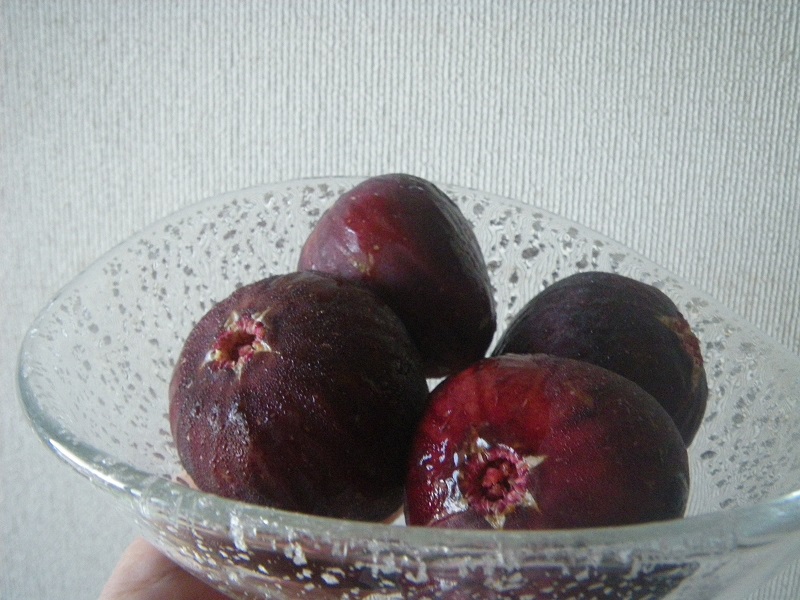 _c0033636_2323257.jpg