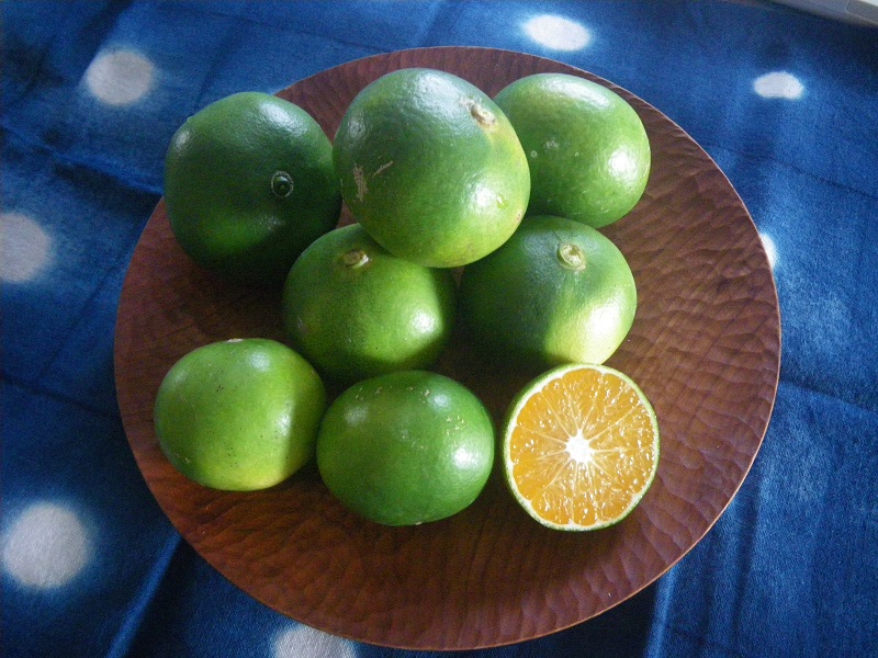 _c0033636_1156138.jpg