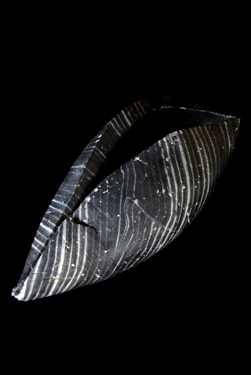 _d0087761_17155657.jpg