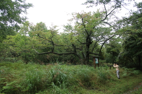 _f0075075_16175657.jpg