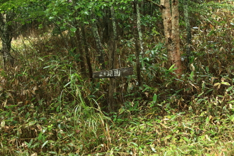 _f0075075_16235298.jpg
