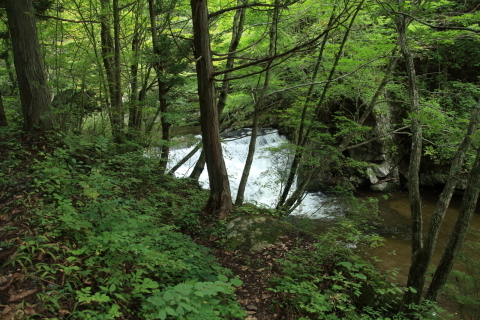_f0075075_16343362.jpg