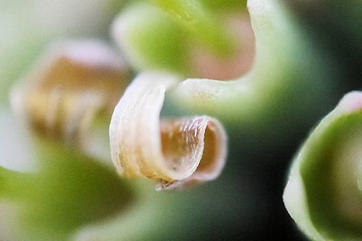_c0032138_19165309.jpg