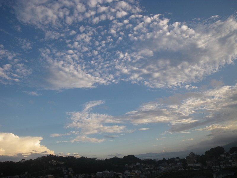 _c0033636_11524541.jpg