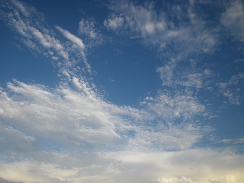 _c0033636_1153191.jpg