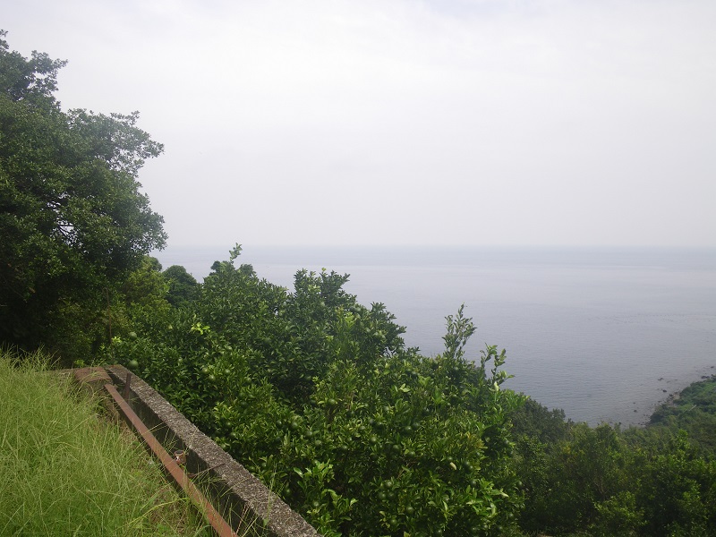 _c0033636_23404917.jpg