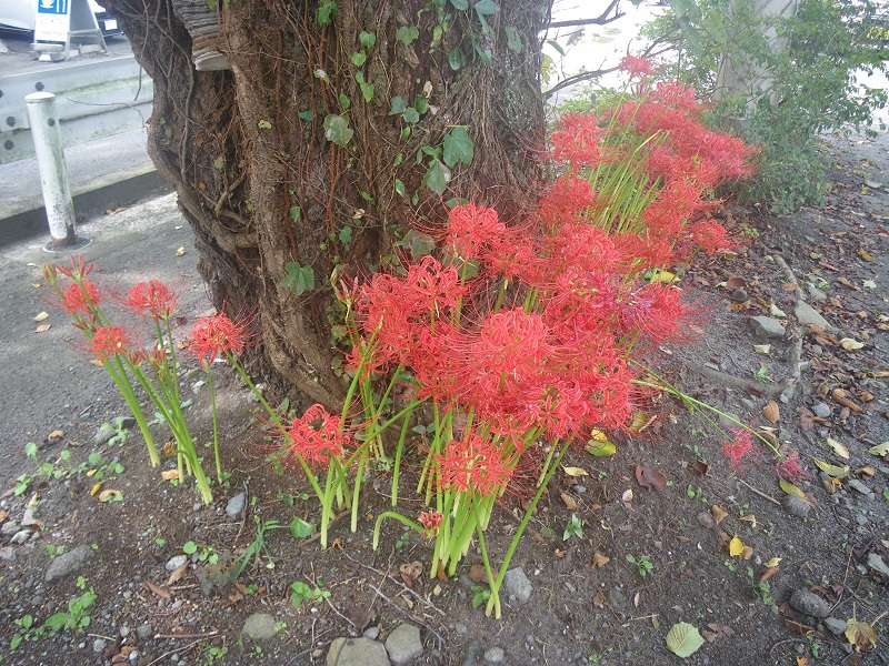 _c0033636_23424962.jpg