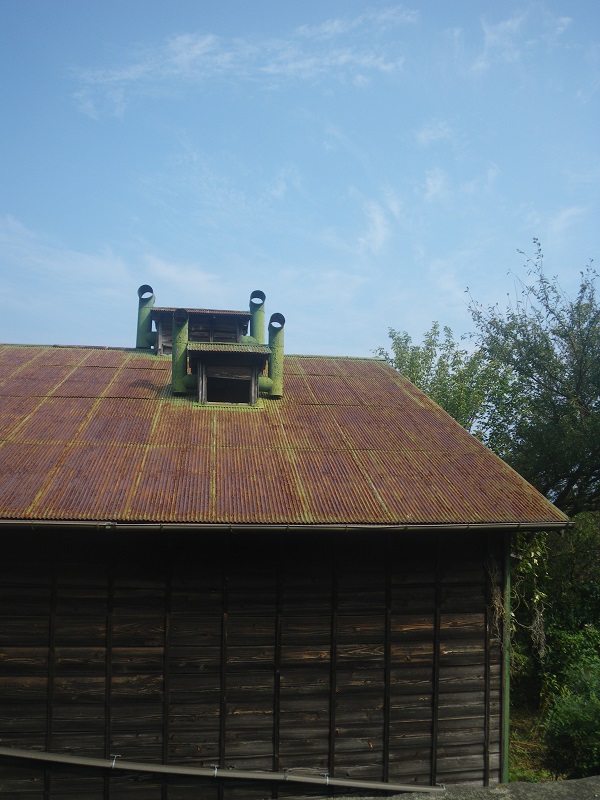 _c0033636_071615.jpg
