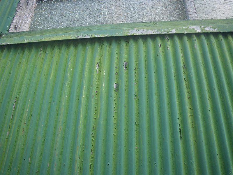 _c0033636_0817100.jpg