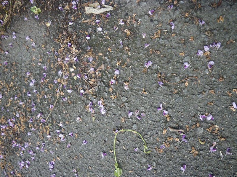 _c0033636_1211913.jpg