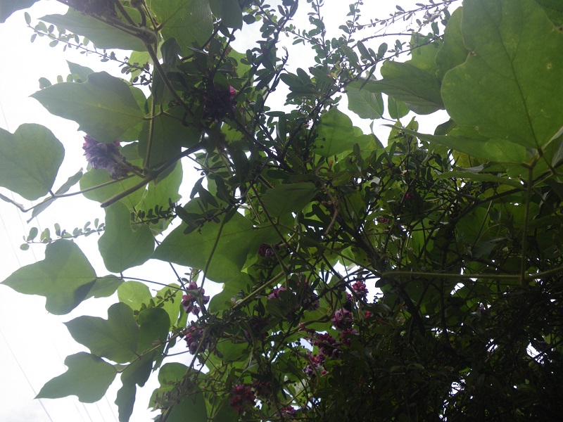 _c0033636_1214815.jpg