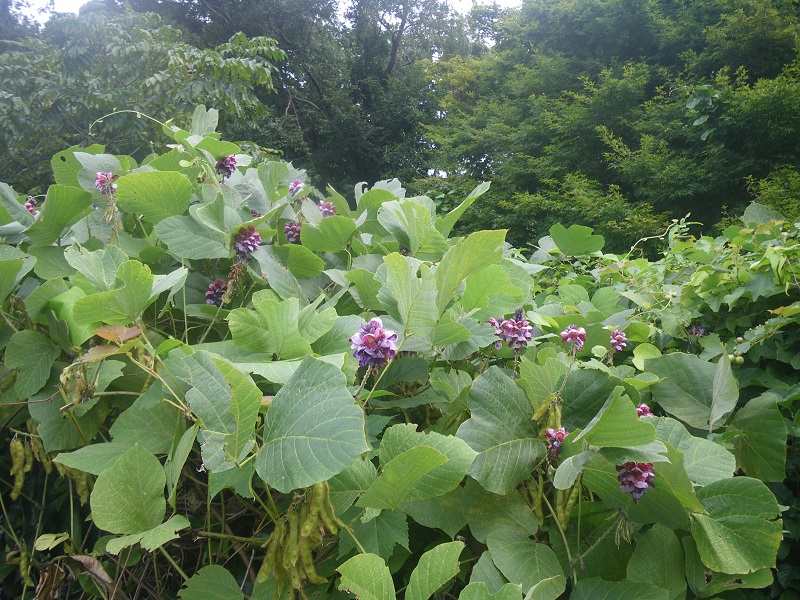 _c0033636_121576.jpg
