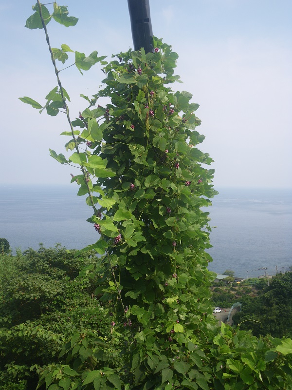 _c0033636_127925.jpg