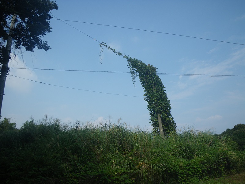 _c0033636_1291314.jpg