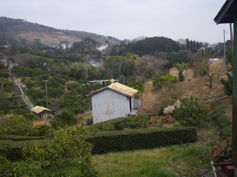 _c0033636_142892.jpg