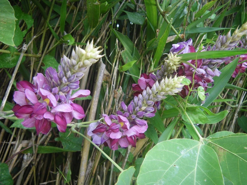 _c0033636_12153845.jpg
