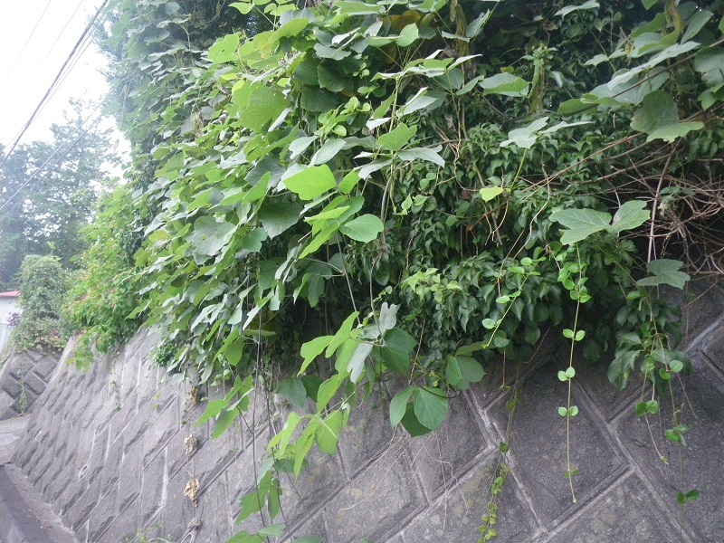 _c0033636_18451645.jpg