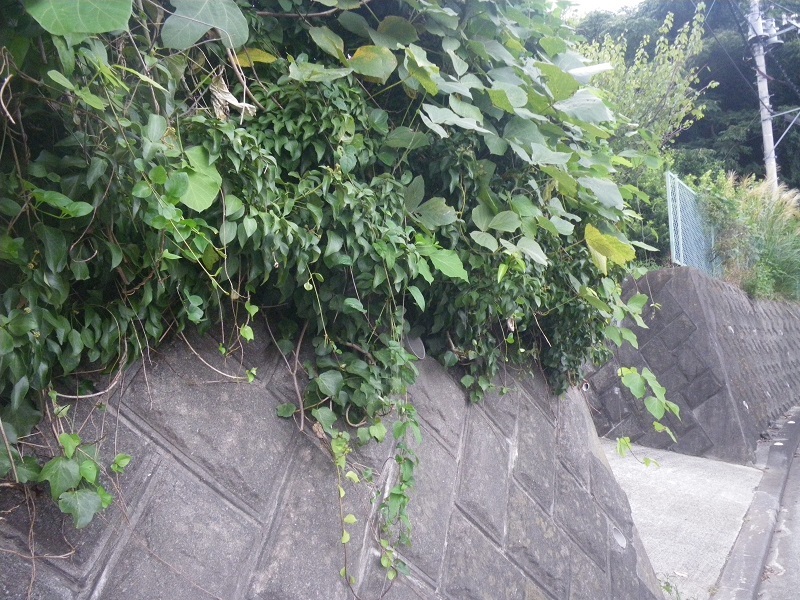 _c0033636_18453491.jpg