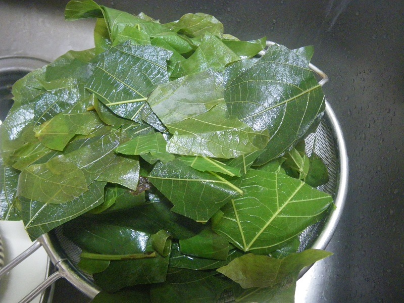 _c0033636_10473757.jpg