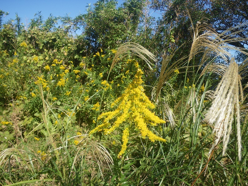 _c0033636_12174467.jpg