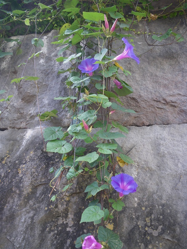 _c0033636_12041846.jpg