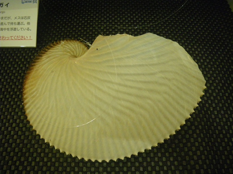 _c0033636_23335774.jpg