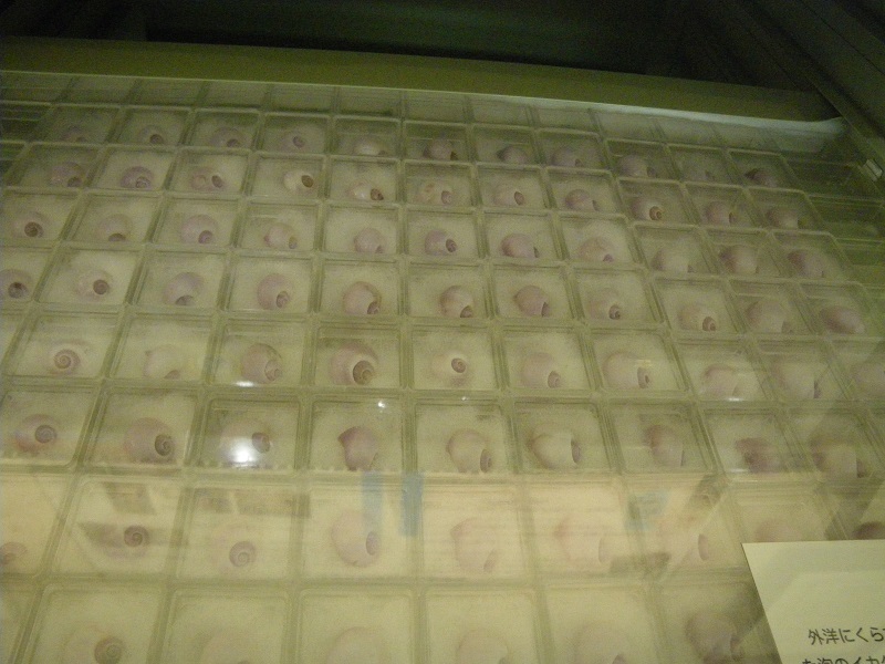 _c0033636_23353379.jpg