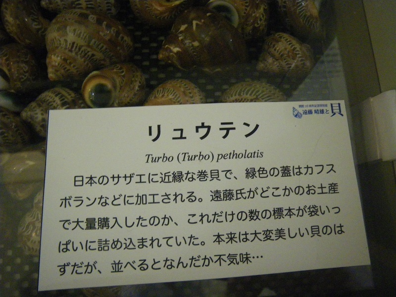 _c0033636_23401174.jpg