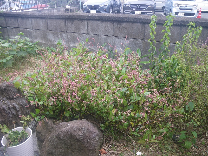 _c0033636_18161548.jpg