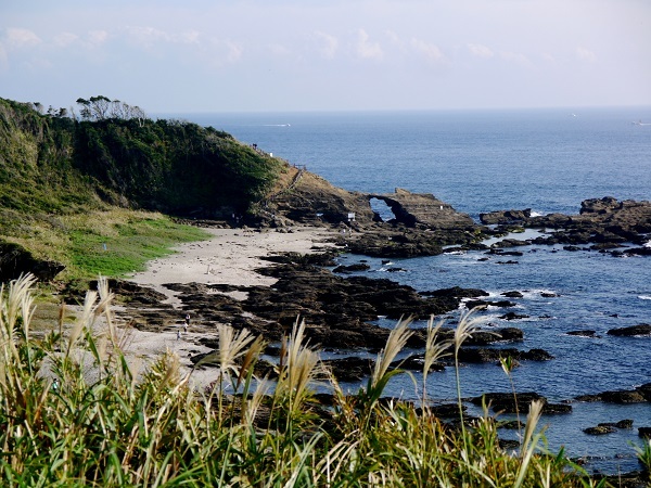 _c0067529_14530768.jpg