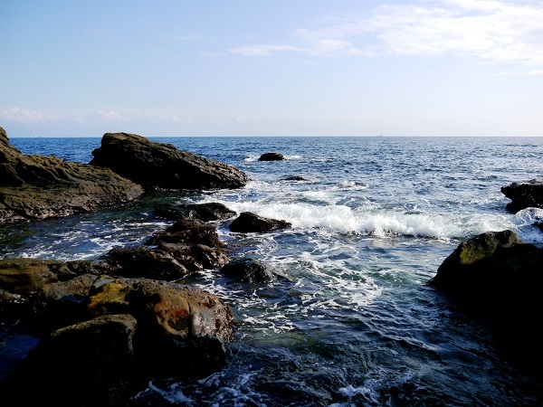 _c0067529_14540065.jpg