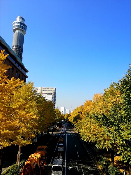 _c0067529_17005500.jpg