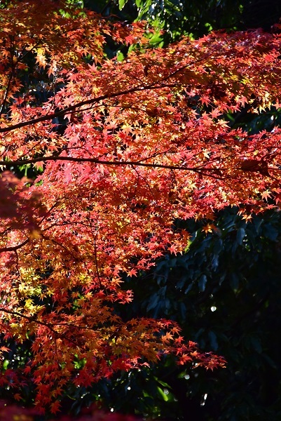 _c0067529_16295510.jpg