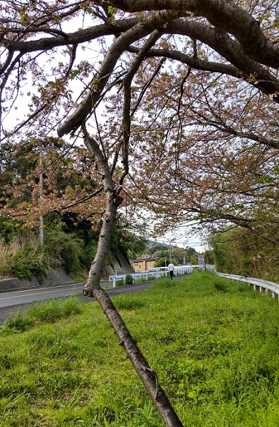 _c0033636_23011715.jpg