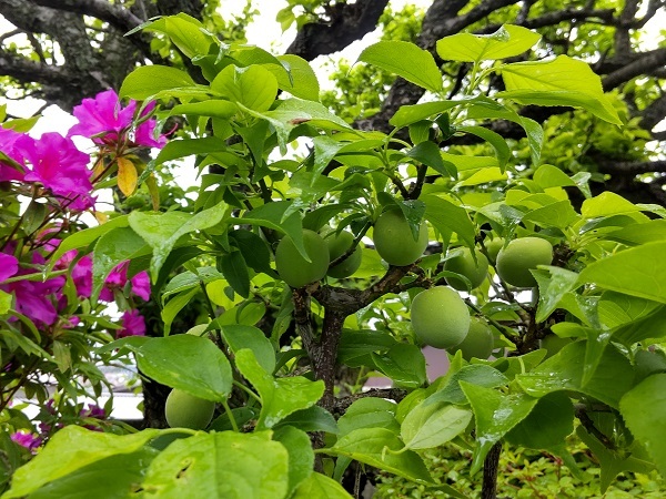 _c0033636_23170446.jpg