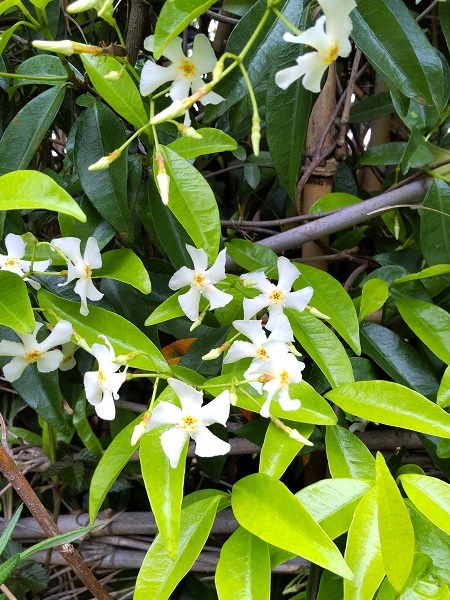 _c0033636_23463866.jpg