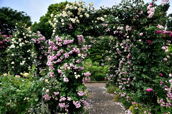 _c0067529_14464173.jpg