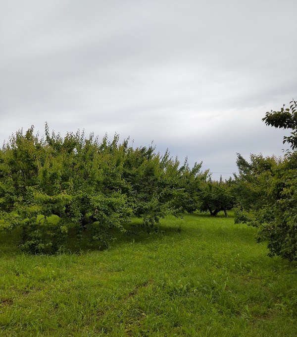 _c0033636_23212558.jpg