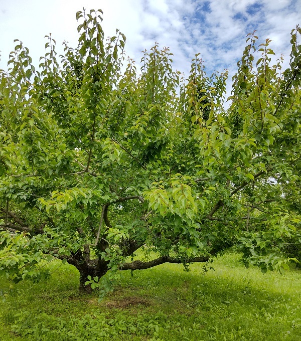 _c0033636_23224591.jpg