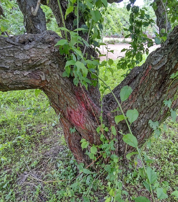 _c0033636_23234704.jpg